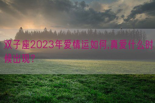 双子座2023年爱情运如何,真爱什么时候出现？(图1)