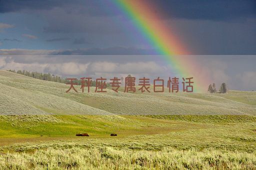 天秤座专属表白情话(图1)