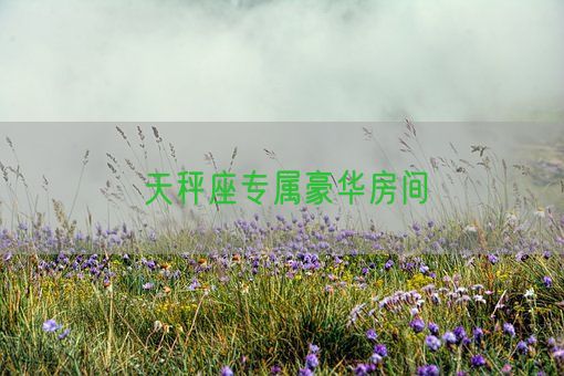 天秤座专属豪华房间(图1)