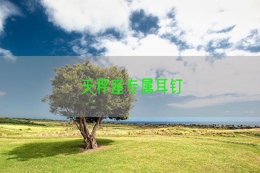 天秤座专属耳钉(图1)