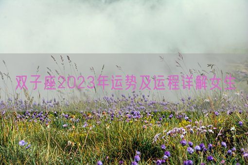 双子座2023年运势及运程详解女生(图1)