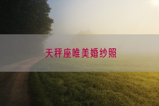 天秤座唯美婚纱照(图1)