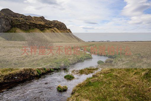 天秤座天不怕地不怕就怕什么(图1)