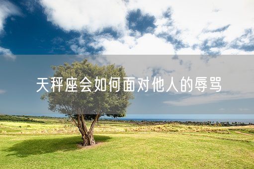 天秤座会如何面对他人的辱骂(图1)