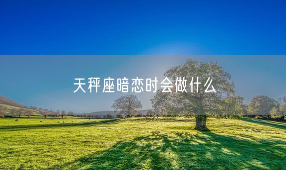 天秤座暗恋时会做什么(图1)