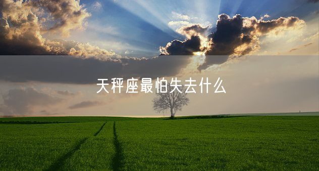 天秤座最怕失去什么(图1)