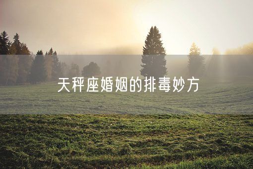 天秤座婚姻的排毒妙方(图1)