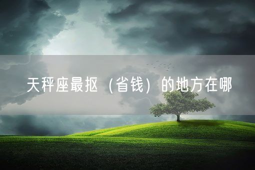 天秤座最抠（省钱）的地方在哪(图1)