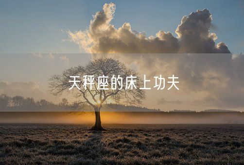 天秤座的床上功夫(图1)