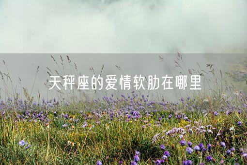 天秤座的爱情软肋在哪里(图1)