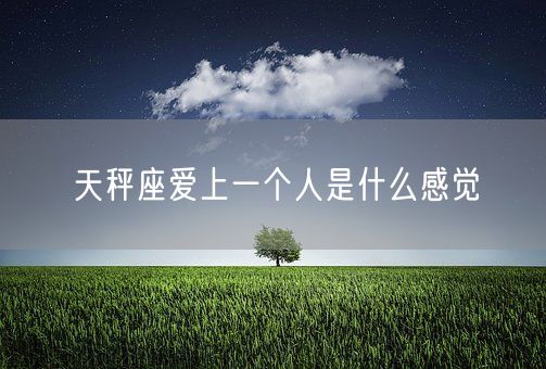 天秤座爱上一个人是什么感觉(图1)