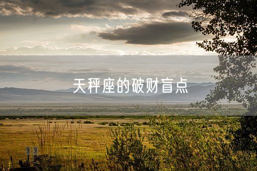 天秤座的破财盲点(图1)