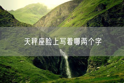 天秤座脸上写着哪两个字(图1)