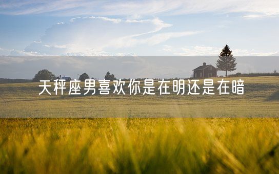 天秤座男喜欢你是在明还是在暗(图1)