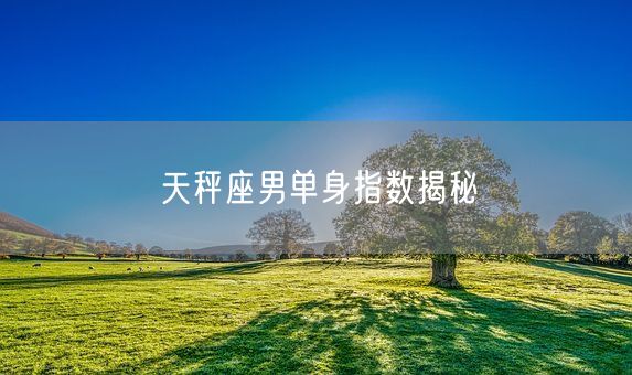 天秤座男单身指数揭秘(图1)