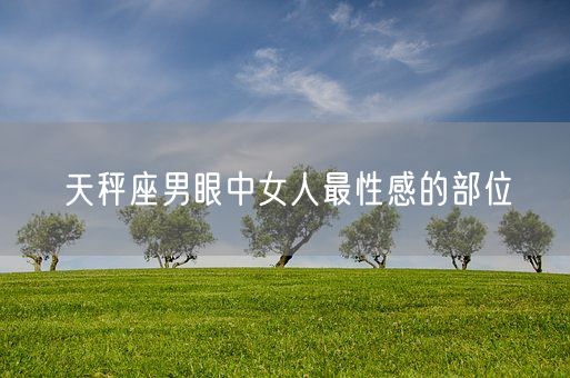 天秤座男眼中女人最性感的部位(图1)