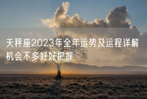 天秤座2023年全年运势及运程详解 机会不多好好把握(图1)