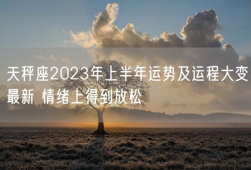 天秤座2023年上半年运势及运程大变最新 情绪上得到放松(图1)