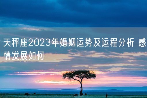 天秤座2023年婚姻运势及运程分析 感情发展如何(图1)