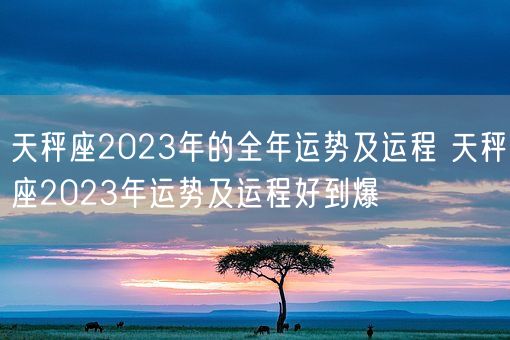 天秤座2023年的全年运势及运程 天秤座2023年运势及运程好到爆(图1)