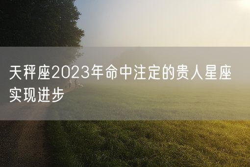 天秤座2023年命中注定的贵人星座  实现进步(图1)