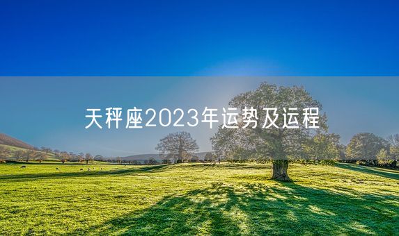 天秤座2023年运势及运程(图1)