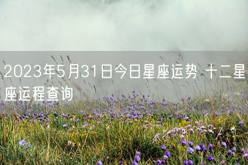 2023年5月31日今日星座运势 十二星座运程查询(图1)