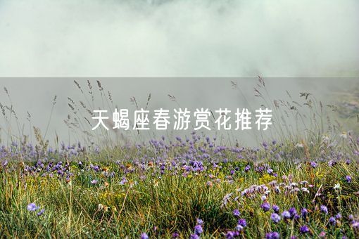 天蝎座春游赏花推荐(图1)