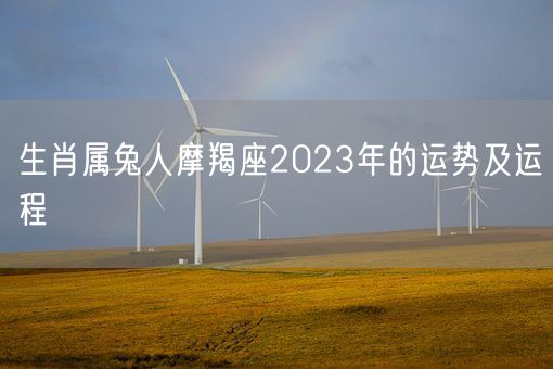 生肖属兔人摩羯座2023年的运势及运程(图1)