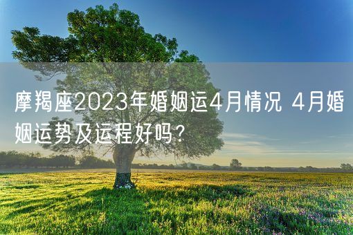 摩羯座2023年婚姻运4月情况 4月婚姻运势及运程好吗？(图1)