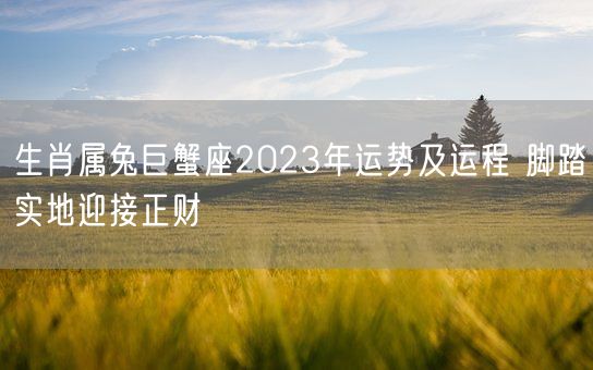 生肖属兔巨蟹座2023年运势及运程 脚踏实地迎接正财(图1)