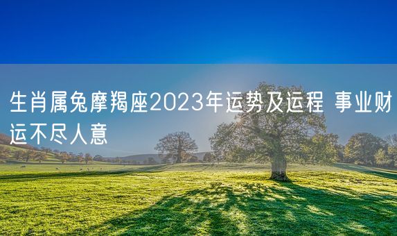 生肖属兔摩羯座2023年运势及运程 事业财运不尽人意(图1)