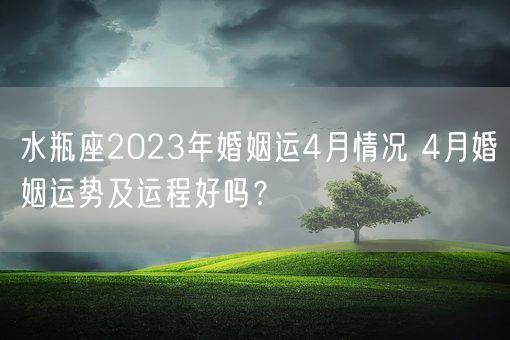 水瓶座2023年婚姻运4月情况 4月婚姻运势及运程好吗？(图1)