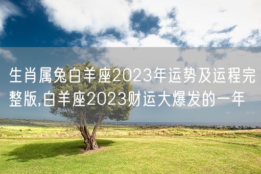 生肖属兔白羊座2023年运势及运程完整版,白羊座2023财运大爆发的一年(图1)