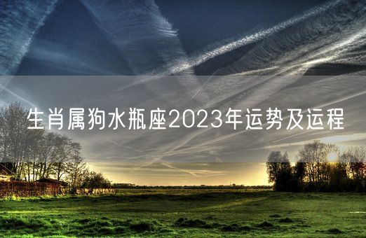 生肖属狗水瓶座2023年运势及运程(图1)