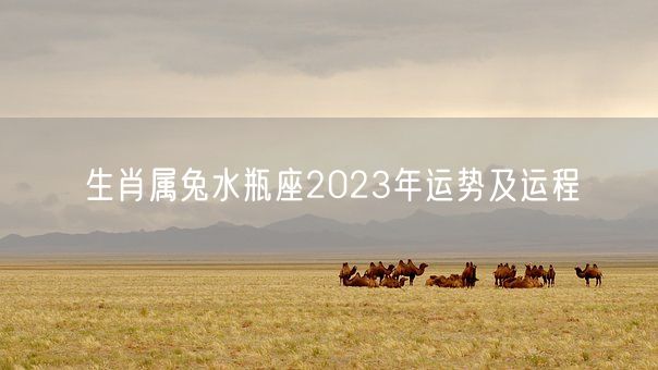生肖属兔水瓶座2023年运势及运程(图1) 生肖属兔水瓶座2023年运势及运程(图1)