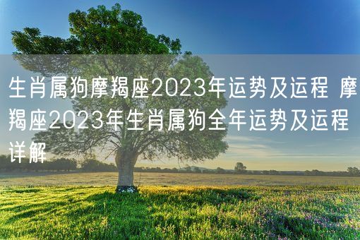 生肖属狗摩羯座2023年运势及运程 摩羯座2023年生肖属狗全年运势及运程详解(图1)