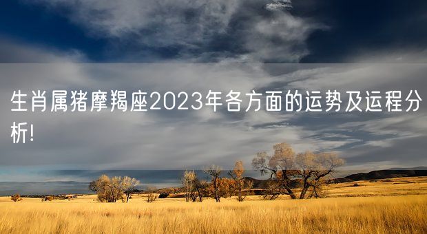 生肖属猪摩羯座2023年各方面的运势及运程分析!(图1)