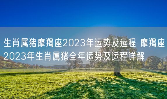 生肖属猪摩羯座2023年运势及运程 摩羯座2023年生肖属猪全年运势及运程详解(图1)