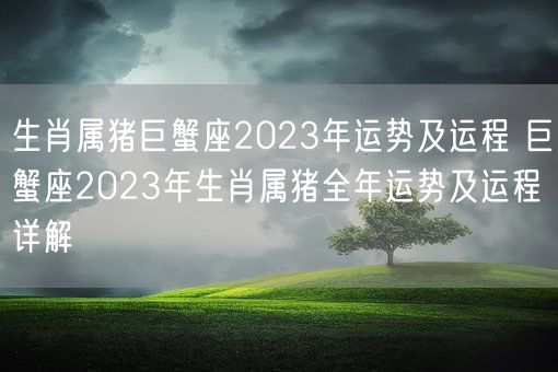 生肖属猪巨蟹座2023年运势及运程 巨蟹座2023年生肖属猪全年运势及运程详解(图1) 生肖属猪巨蟹座2023年运势及运程 巨蟹座2023年生肖属猪全年运势及运程详解(图1)