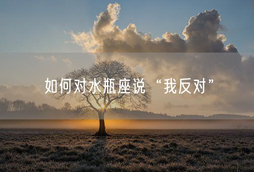 如何对水瓶座说“我反对”(图1)