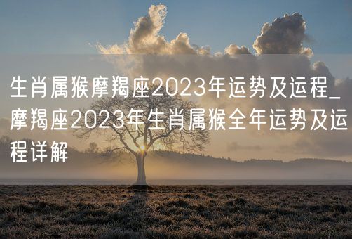 生肖属猴摩羯座2023年运势及运程_摩羯座2023年生肖属猴全年运势及运程详解(图1)