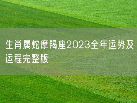 生肖属蛇摩羯座2023全年运势及运程完整版(图1)