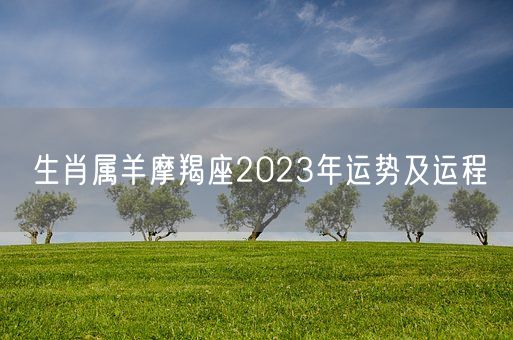 生肖属羊摩羯座2023年运势及运程(图1)