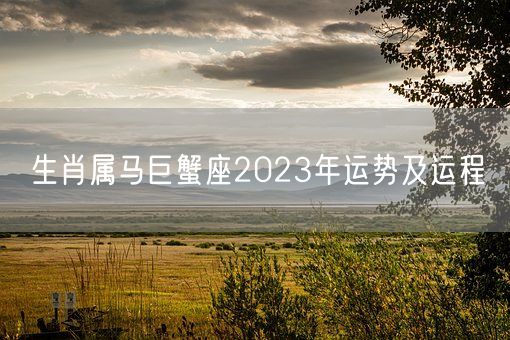 生肖属马巨蟹座2023年运势及运程(图1)