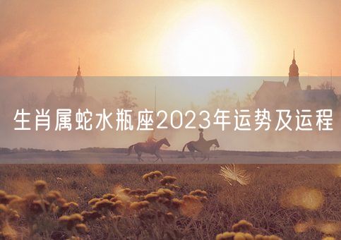 生肖属蛇水瓶座2023年运势及运程(图1)