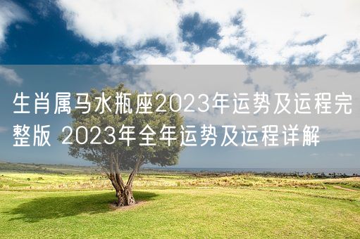 生肖属马水瓶座2023年运势及运程完整版 2023年全年运势及运程详解(图1)