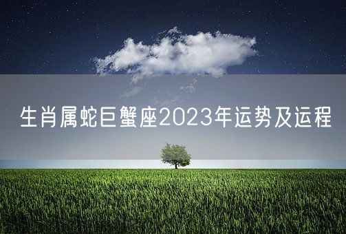 生肖属蛇巨蟹座2023年运势及运程(图1) 生肖属蛇巨蟹座2023年运势及运程(图1)