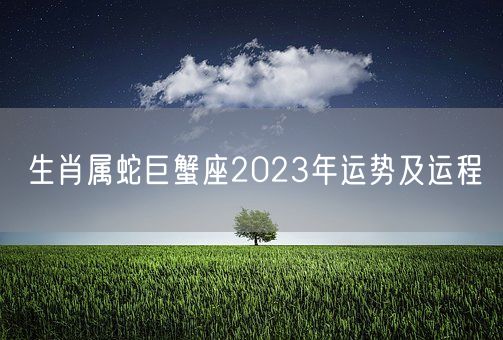 生肖属蛇巨蟹座2023年运势及运程(图1)