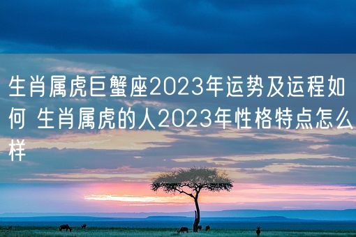 生肖属虎巨蟹座2023年运势及运程如何 生肖属虎的人2023年性格特点怎么样(图1) 生肖属虎巨蟹座2023年运势及运程如何 生肖属虎的人2023年性格特点怎么样(图1)